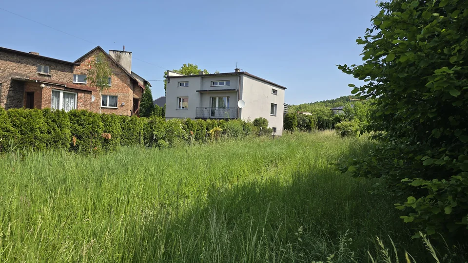 Działka zarośnięta trawą powyżej pasa, przed koszeniem — Rogoźnik