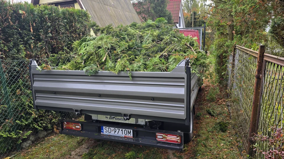 Wywrotka załadowana ścinkami z tui po cięciu żywopłotu — Terenator